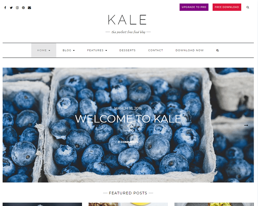 Kale WordPress無料テンプレート